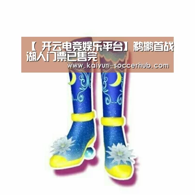 【 开云电竞娱乐平台】鹈鹕首战湖人门票已售完(图4) 开云体育娱乐平台