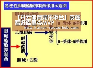 【开云体育娱乐平台】皮蓬看好库里夺MVP(图1) 开云电竞娱乐平台