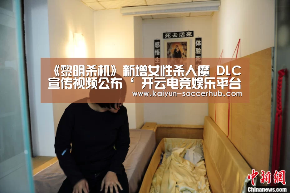  开云真人娱乐