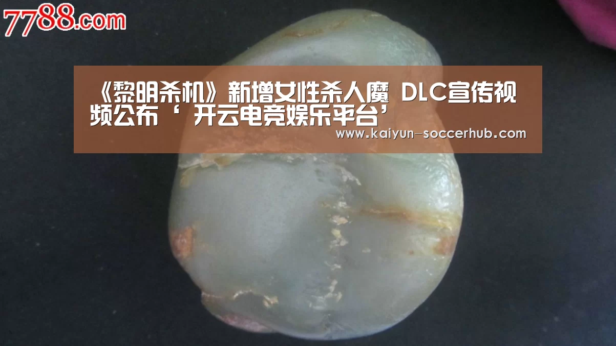  开云真人娱乐